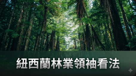 紐西蘭政府不懂市場動態