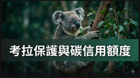 顧問公司購買1.8萬個碳信用額度支持澳洲考拉保護