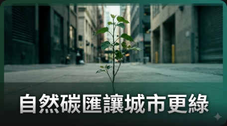旺群建設推動自然碳匯 回應建築業高碳挑戰