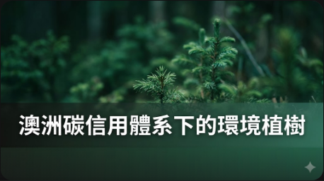 環境植樹面積擴大，木材林地經濟維持在澳洲碳信用體系下