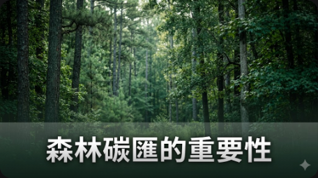 美國東南部森林碳匯可能減少