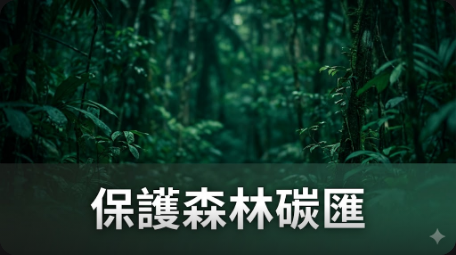 剛果盆地受管理森林碳匯攔截碳排放