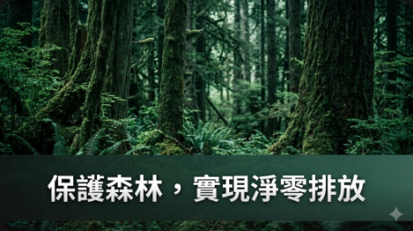 COP30 推進森林砍伐路線圖