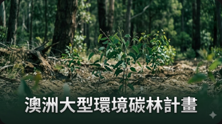 澳洲啟動最大環境碳林計畫